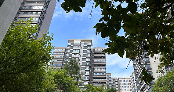 查询域名是否备案