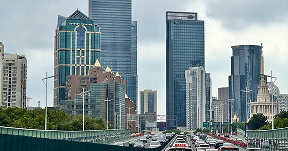 my77738免费域名查询