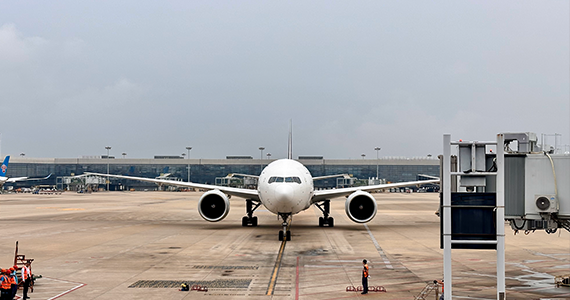 网站注册域名查询